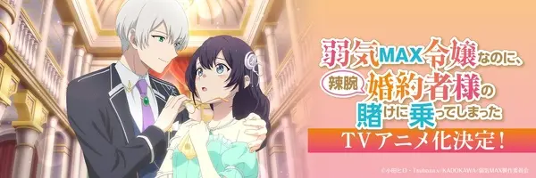 T Vアニメ化決定！