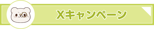 Xキャンペーン
